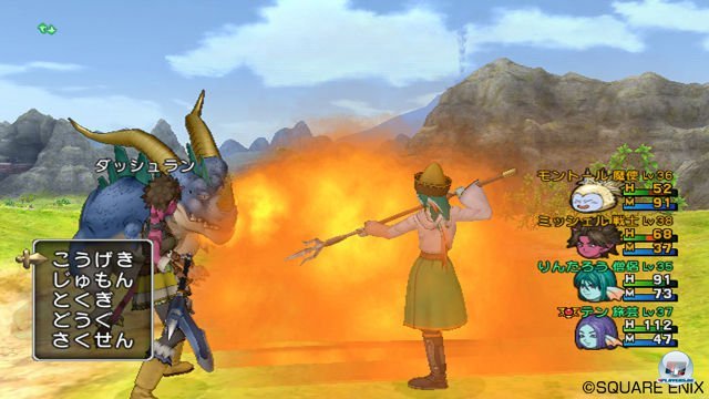 Screenshot - Dragon Quest X Online (Wii) 2303742