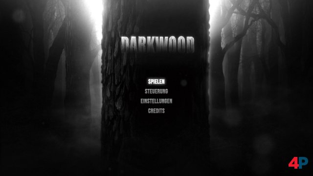 Screenshot - Darkwood (PC)