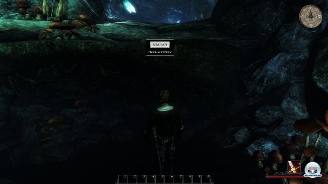 Screenshot - Risen 2: Dark Waters (PC) 2344487