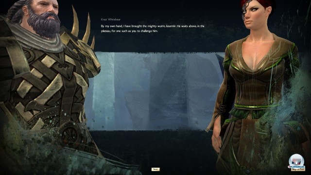 Screenshot - Guild Wars 2 (PC) 2236258