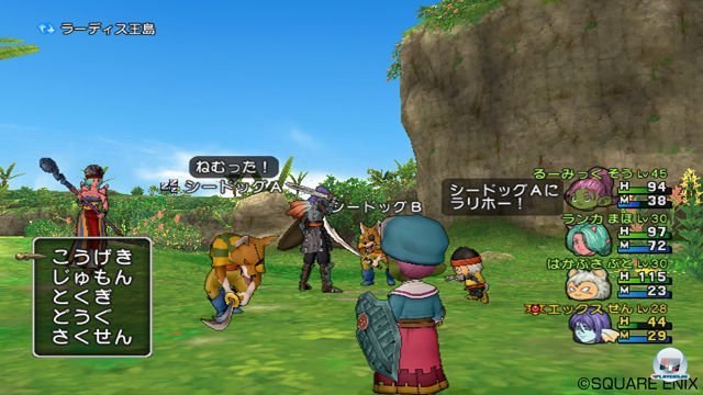 Screenshot - Dragon Quest X Online (Wii) 2287222