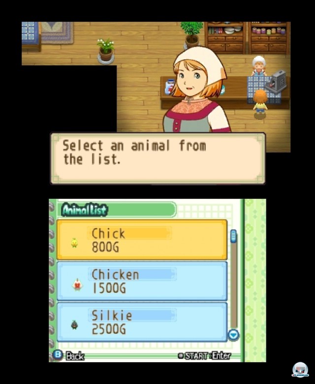 Screenshot - Harvest Moon: The Tale of Two Towns (3DS) 2232238