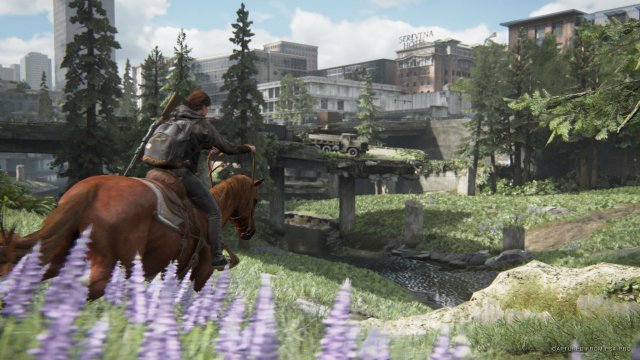 Screenshot - The Last Of Us Part 2 (PS4) 92615580