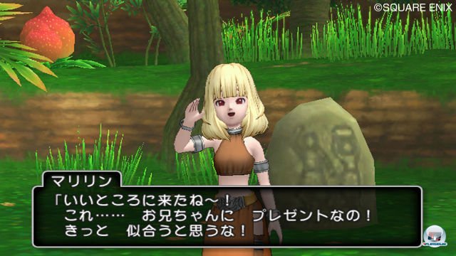 Screenshot - Dragon Quest X Online (Wii) 2303942