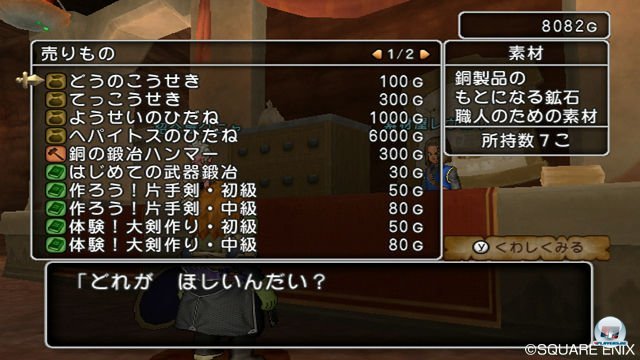 Screenshot - Dragon Quest X Online (Wii) 2300382