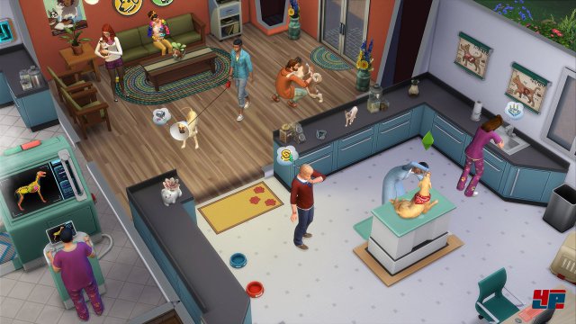 Screenshot - Die Sims 4: Hunde & Katzen (Mac)