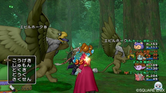 Screenshot - Dragon Quest X Online (Wii) 2303787