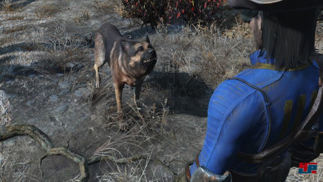 Screenshot - Fallout 4 (PlayStation4) 92516228
