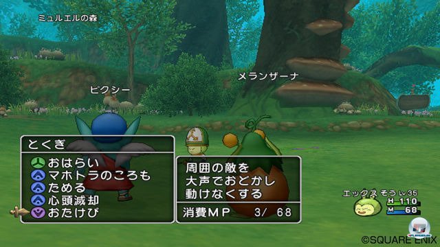 Screenshot - Dragon Quest X Online (Wii) 2295652