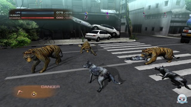 Screenshot - Tokyo Jungle (PlayStation3) 2358522