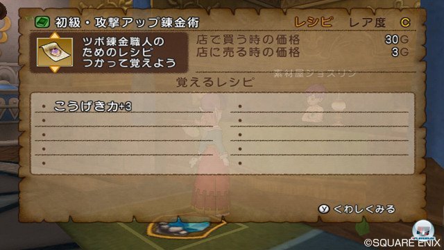 Screenshot - Dragon Quest X Online (Wii) 2345252