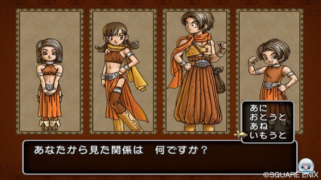 Screenshot - Dragon Quest X Online (Wii) 2357247
