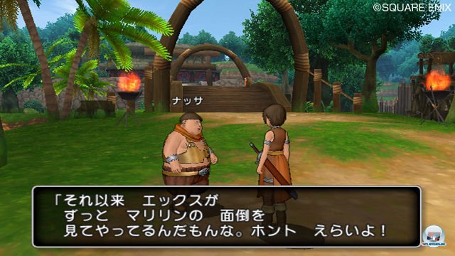 Screenshot - Dragon Quest X Online (Wii) 2303917