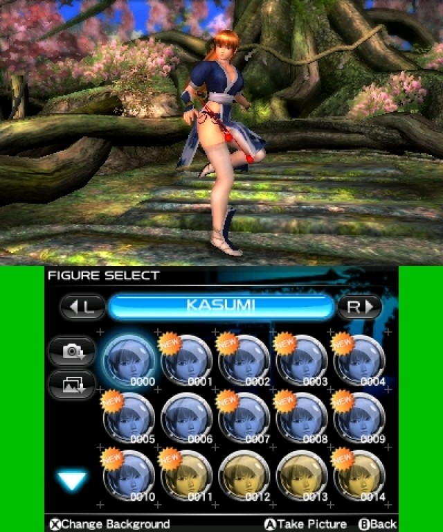 Screenshot - Dead or Alive: Dimensions (NDS) 2224013