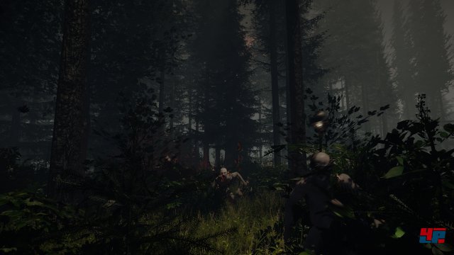 Screenshot - The Forest (PC) 92475919