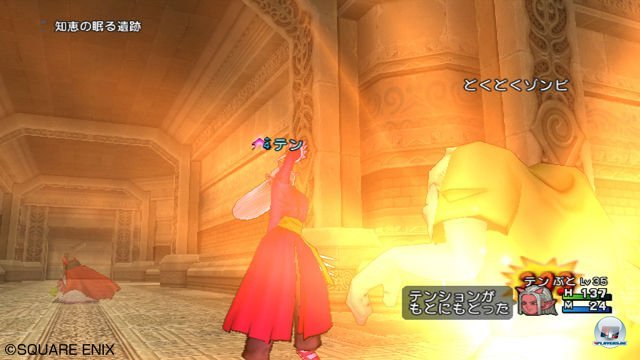 Screenshot - Dragon Quest X Online (Wii) 2292957