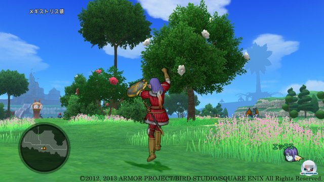 Screenshot - Dragon Quest X Online (Wii_U) 92455577