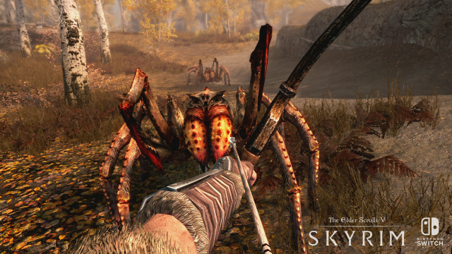 Screenshot - The Elder Scrolls 5: Skyrim (Switch)