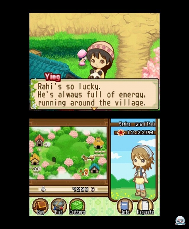 Screenshot - Harvest Moon: The Tale of Two Towns (NDS) 2232083
