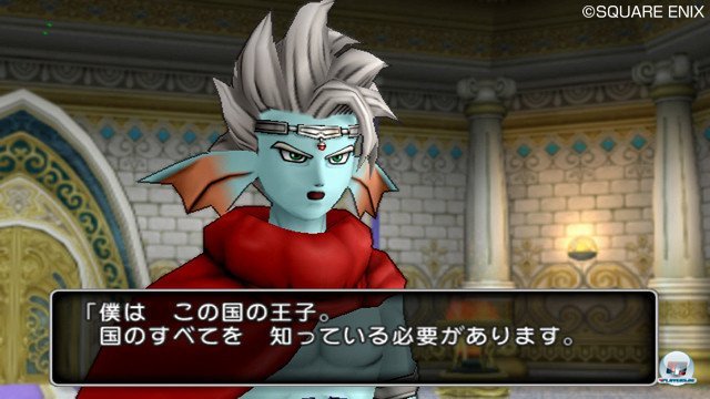 Screenshot - Dragon Quest X Online (Wii) 2365397