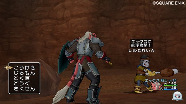 Screenshot - Dragon Quest X Online (Wii) 2321222