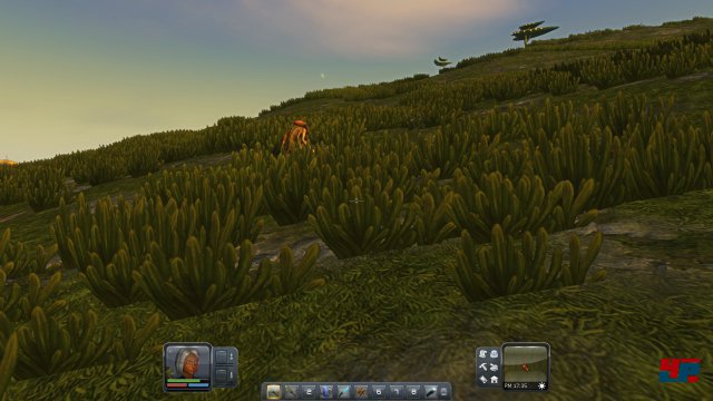 Screenshot - Planet Explorers (PC) 92479872