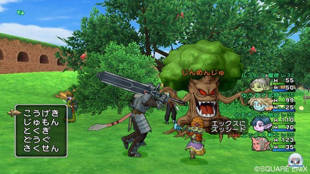 Screenshot - Dragon Quest X Online (Wii) 2368852