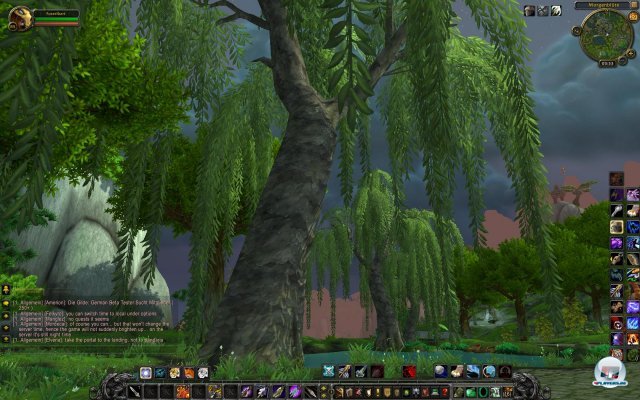 Screenshot - World of WarCraft: Mists of Pandaria (PC) 2334037