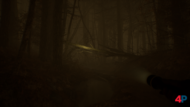 Screenshot - Blair Witch (PC) 92595402
