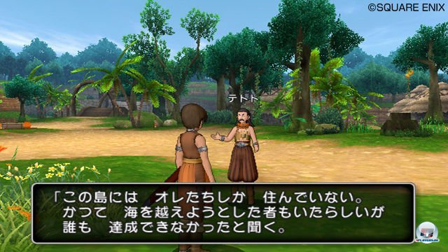 Screenshot - Dragon Quest X Online (Wii) 2303957