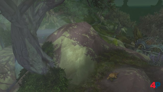 Screenshot - World of WarCraft: Shadowlands (PC) 92622861