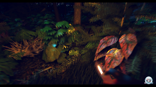 Screenshot - The Forest (PC) 92460450