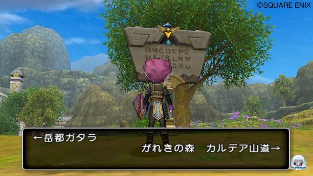 Screenshot - Dragon Quest X Online (Wii) 2280387