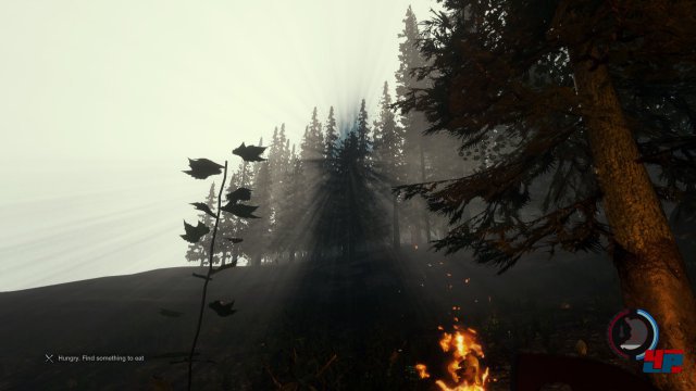 Screenshot - The Forest (PC) 92486557