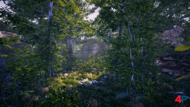 Screenshot - The Fabled Woods (PC) 92615049