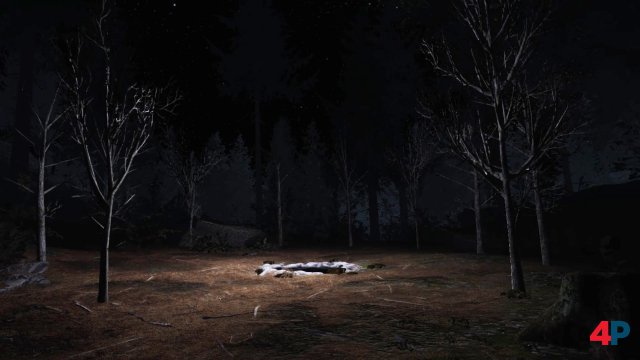 Screenshot - Twin Peaks VR (HTCVive)