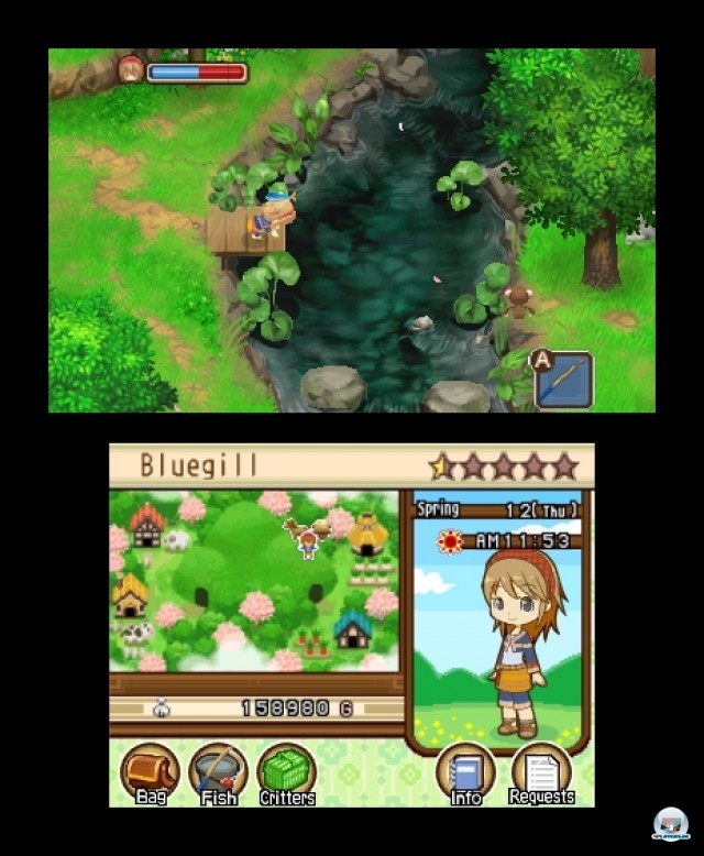 Screenshot - Harvest Moon: The Tale of Two Towns (3DS) 2232174