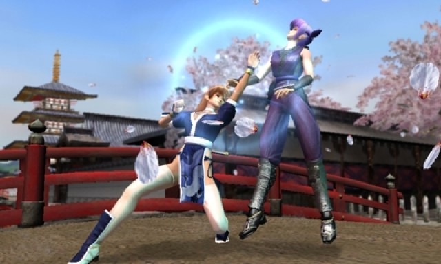 Screenshot - Dead or Alive: Dimensions (NDS) 2223853