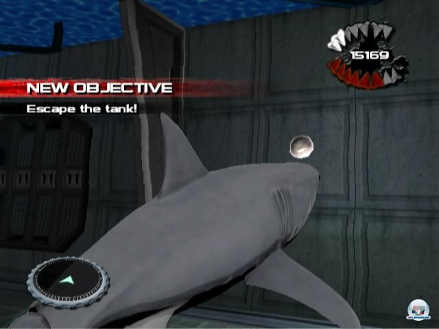 Screenshot - Jaws: Ultimate Predator (Wii)