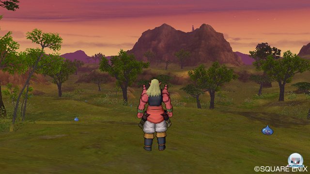 Screenshot - Dragon Quest X Online (Wii) 2273487