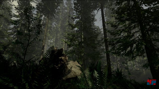 Screenshot - The Forest (PC) 92479336