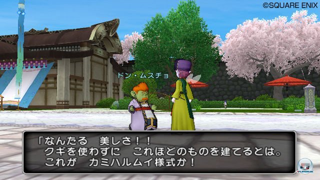 Screenshot - Dragon Quest X Online (Wii) 2277642