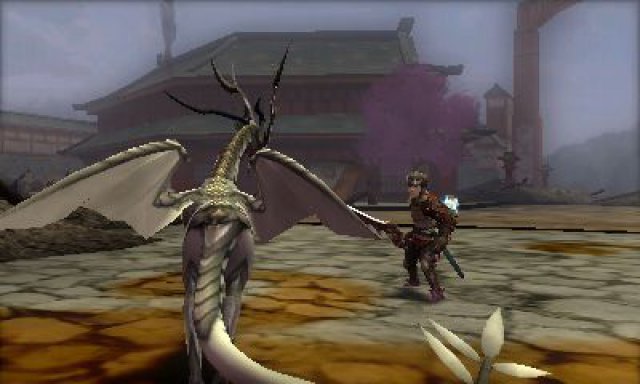 Hauptheld Corrin kann sich in einen Drachen verwandeln - spter kommen weitere Bestien und Gestaltwandler hinzu.