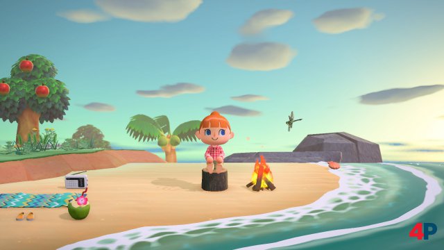 Screenshot - Animal Crossing: New Horizons (Switch) 92590026