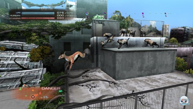 Screenshot - Tokyo Jungle (PlayStation3) 2358517