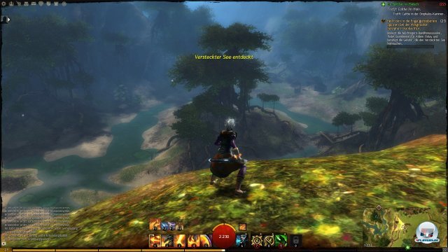 Screenshot - Guild Wars 2 (PC) 2396262