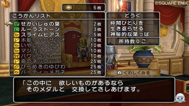 Screenshot - Dragon Quest X Online (Wii) 2335492