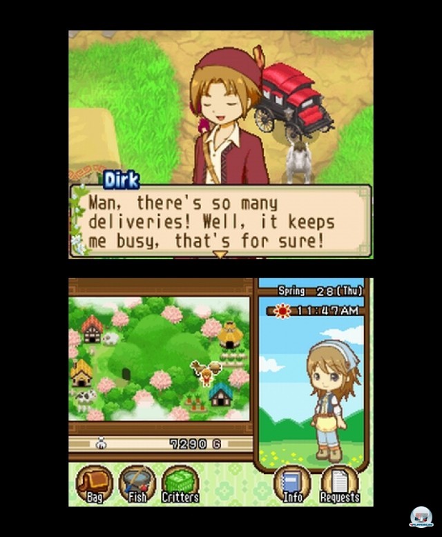 Screenshot - Harvest Moon: The Tale of Two Towns (NDS) 2232067