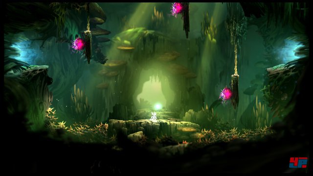 Screenshot - Ori and the Blind Forest (PC) 92487790