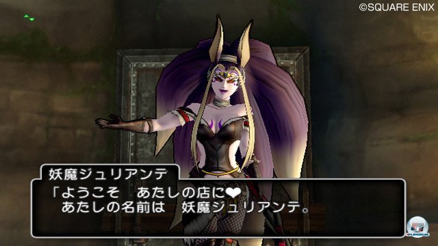 Screenshot - Dragon Quest X Online (Wii) 2355382